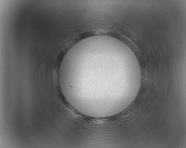 X0000073700523200608031018