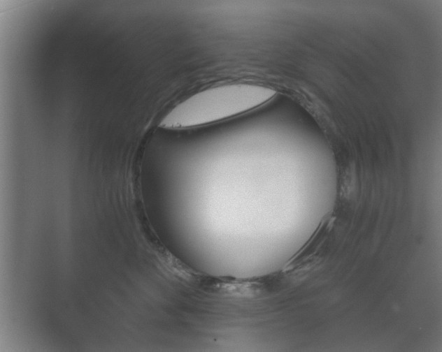 X0000073700524200608031018