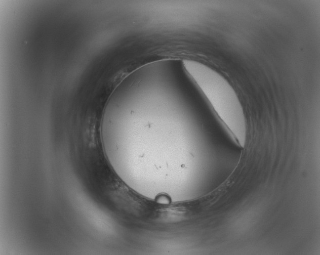 X0000073700525200608031018