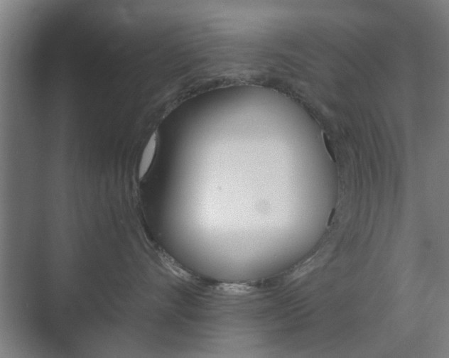 X0000073700528200608031018