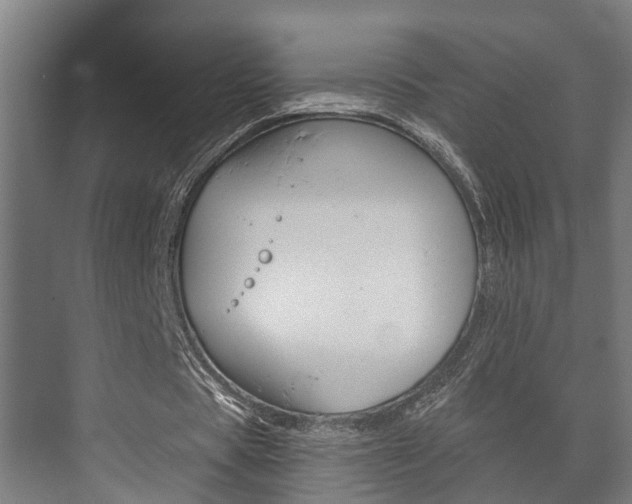 X0000073700529200608031017