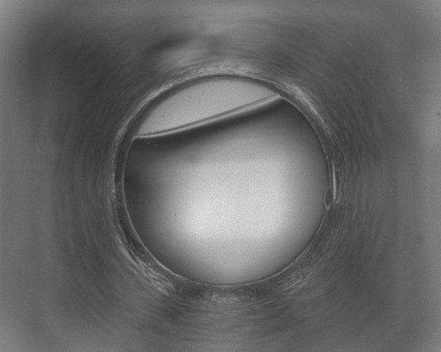 X0000073700531200608031017