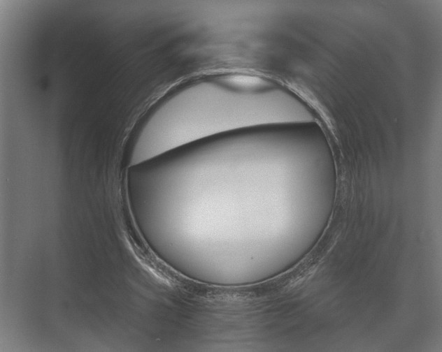 X0000073700533200608031017