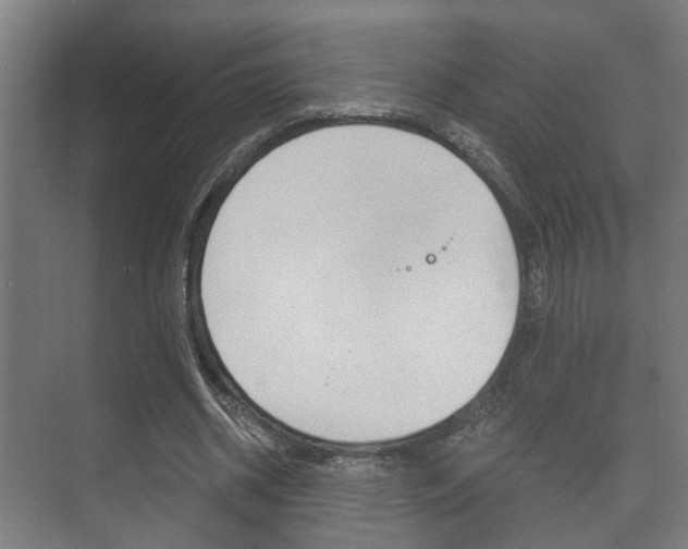 X0000073700534200608031017