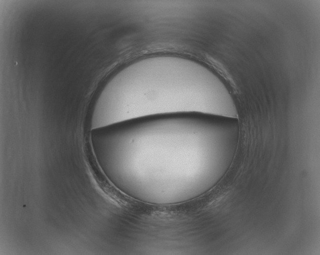 X0000073700538200608031017