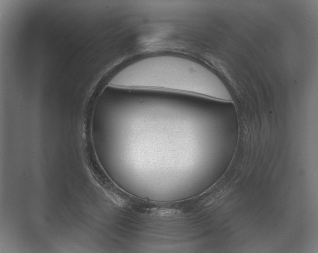 X0000073700539200608031017