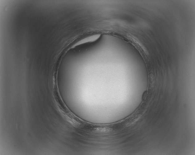 X0000073700541200608031017