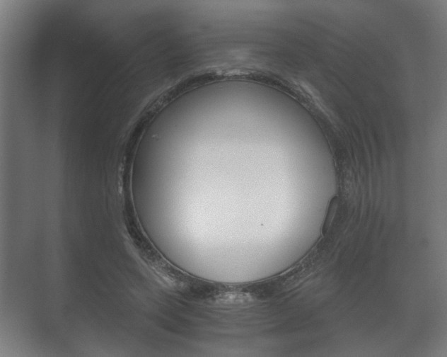 X0000073700543200608031017