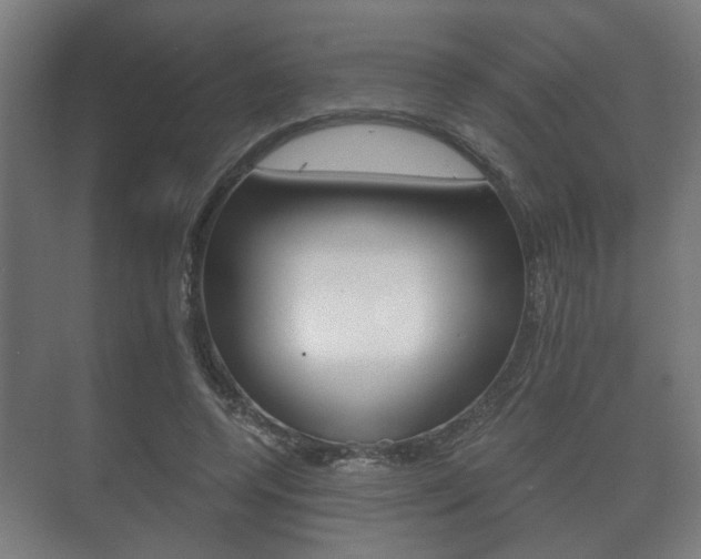 X0000073700544200608031017