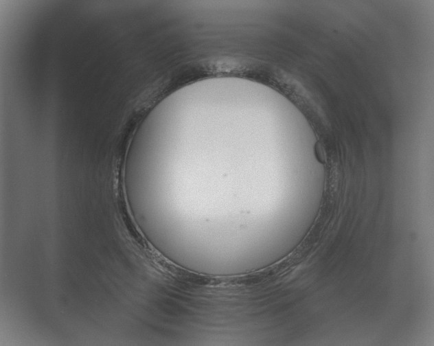 X0000073700545200608031017