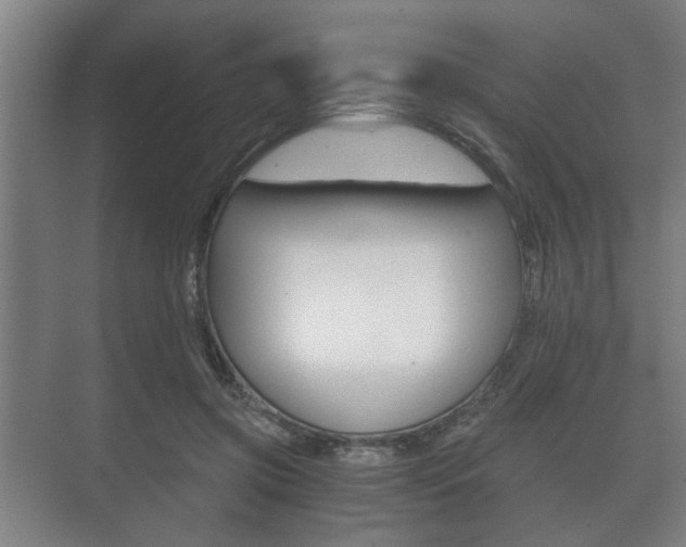 X0000073700549200608031017