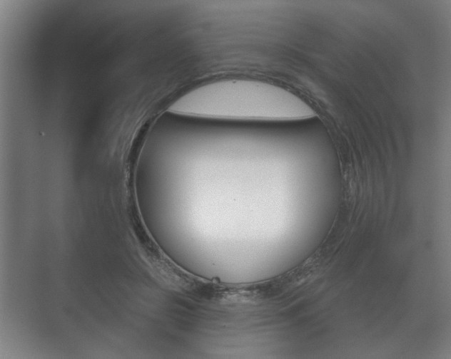 X0000073700550200608031017