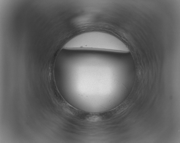 X0000073700551200608031017