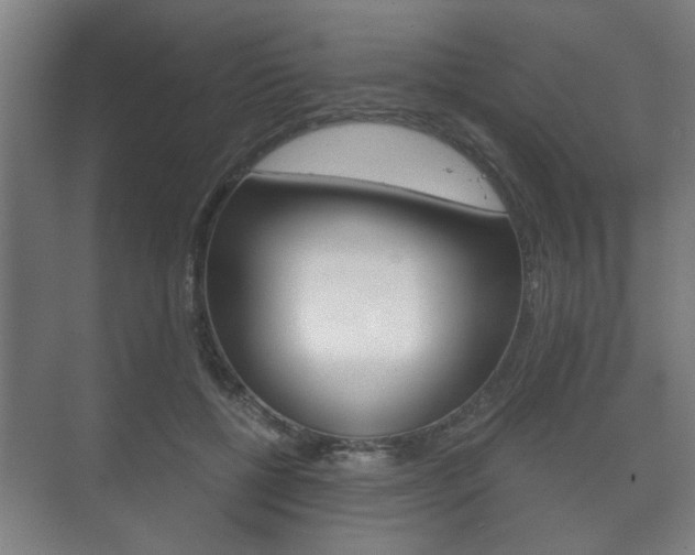 X0000073700552200608031017