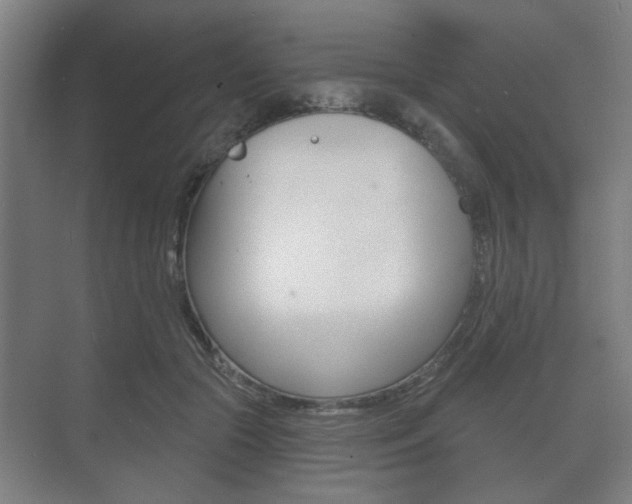 X0000073700553200608031017