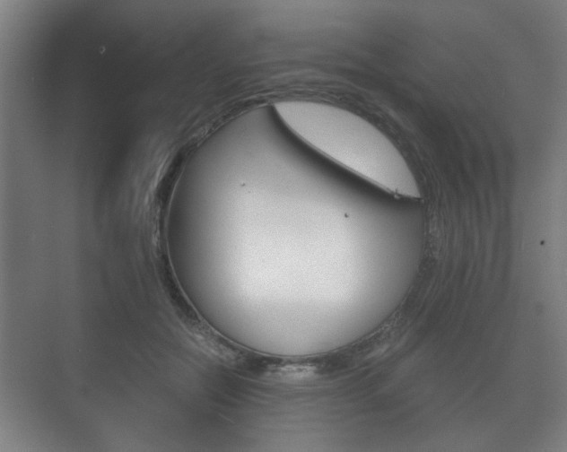 X0000073700554200608031017