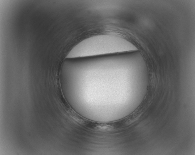 X0000073700557200608031017