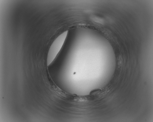 X0000073700559200608031017