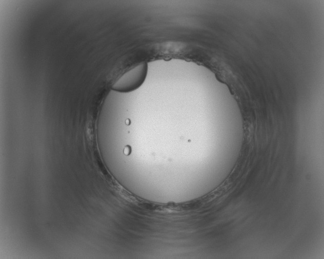 X0000073700561200608031017