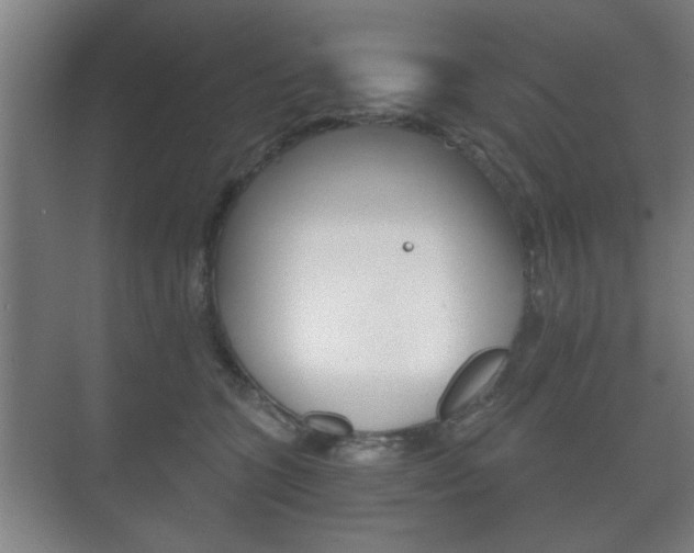 X0000073700563200608031017