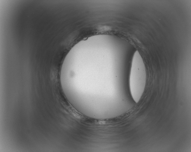 X0000073700565200608031017