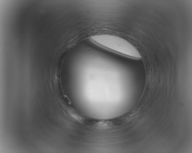 X0000073700566200608031017