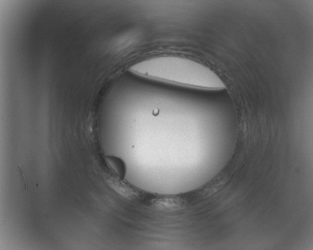 X0000073700567200608031017