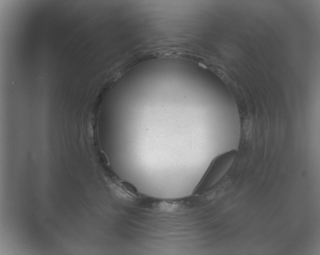 X0000073700570200608031018