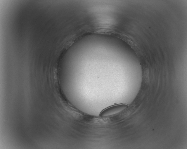 X0000073700571200608031018