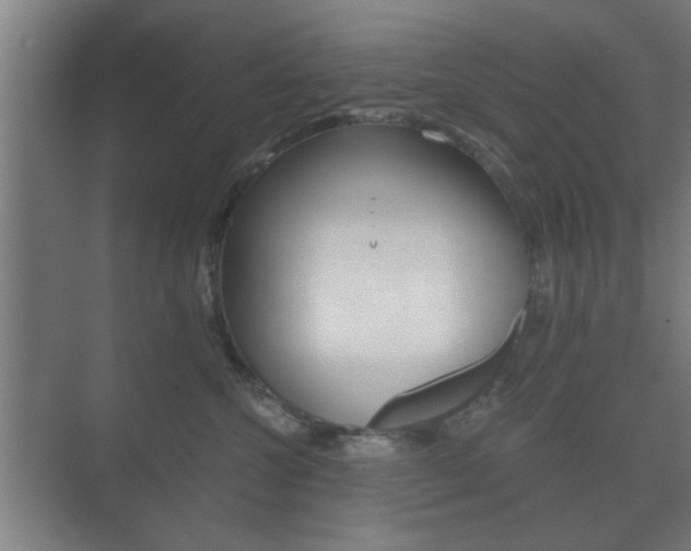 X0000073700572200608031018