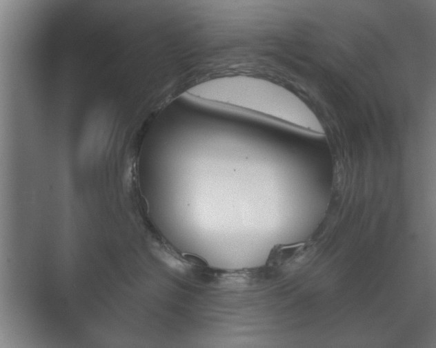 X0000073700574200608031018