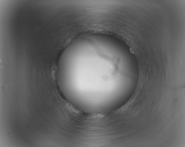 X0000073700576200608031018