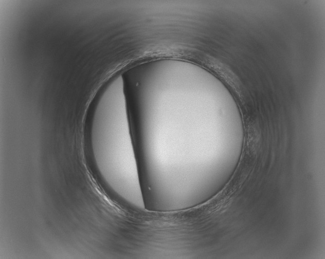 X0000073700578200608031017