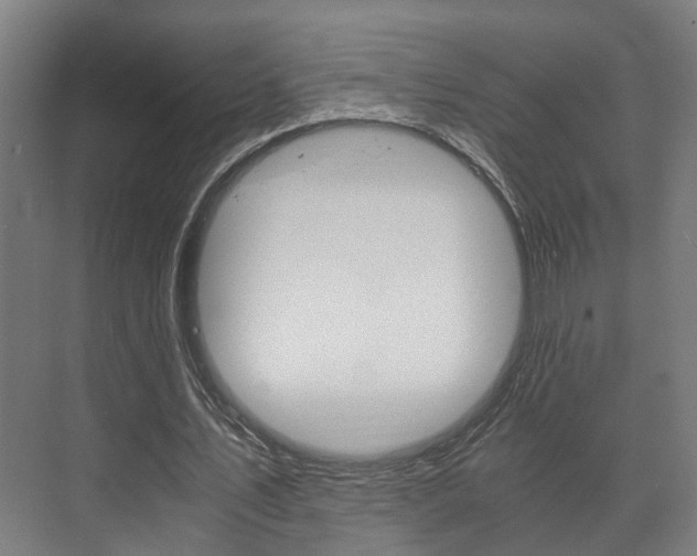 X0000073700579200608031017