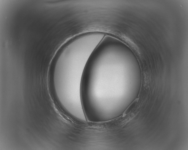 X0000073700580200608031017