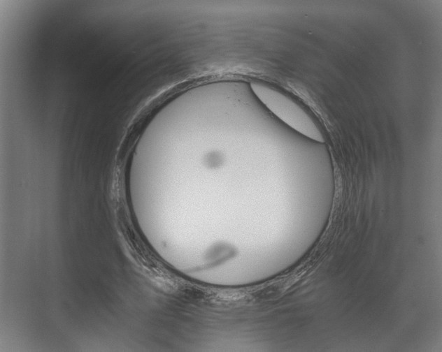 X0000073700583200608031017