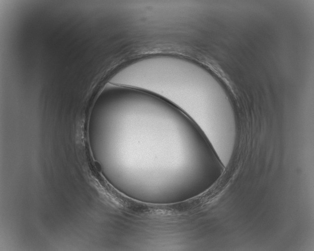 X0000073700585200608031017