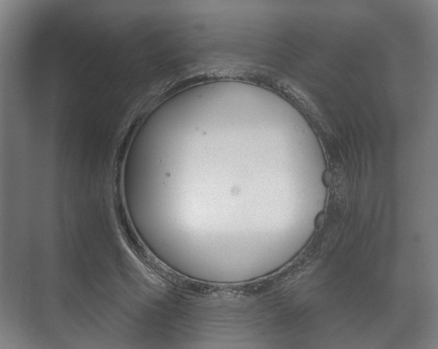 X0000073700586200608031017