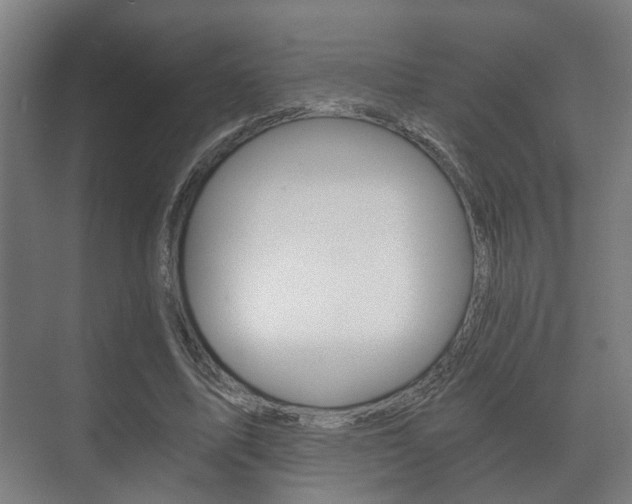 X0000073700587200608031017