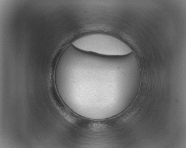 X0000073700590200608031017