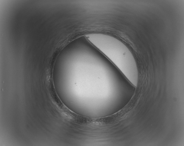 X0000073700593200608031017