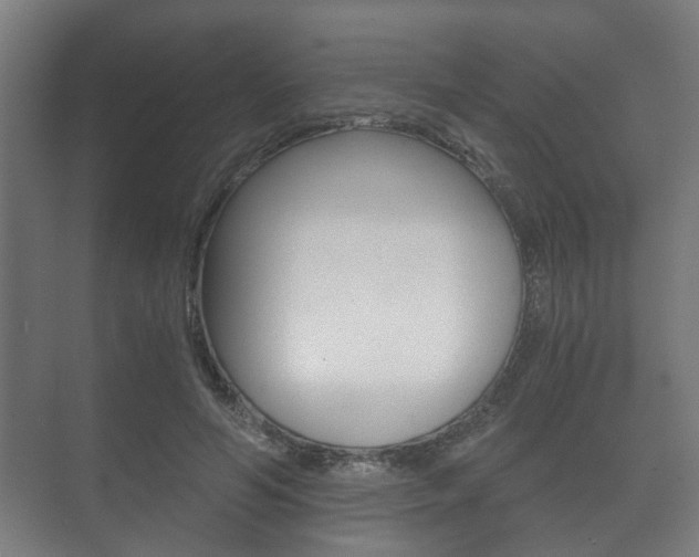 X0000073700594200608031017