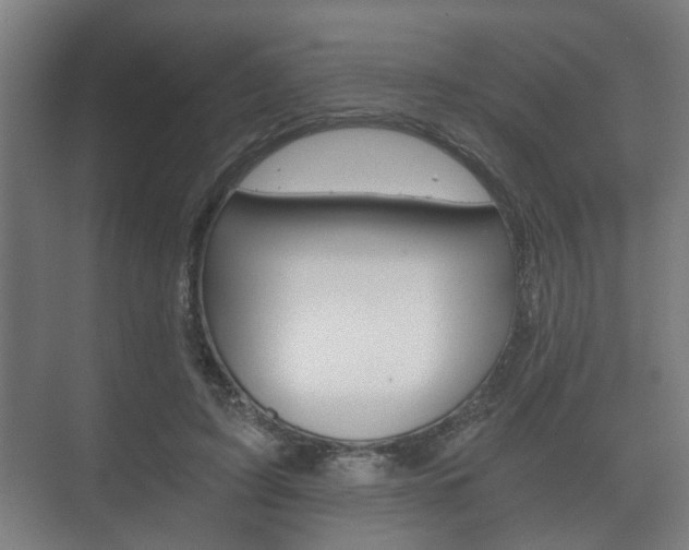 X0000073700595200608031016