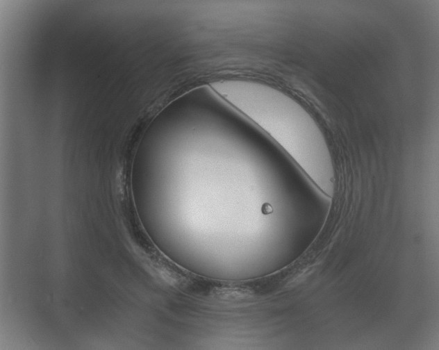 X0000073700597200608031016