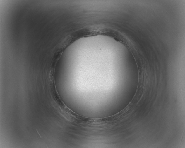 X0000073700601200608031016