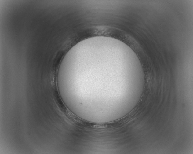 X0000073700602200608031016