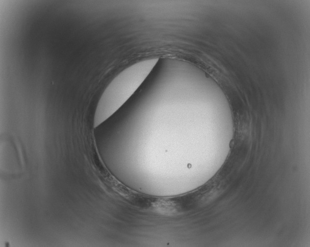 X0000073700603200608031016