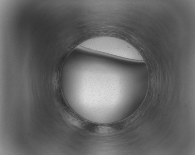 X0000073700605200608031016