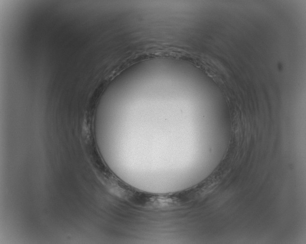 X0000073700607200608031016