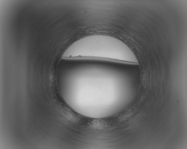 X0000073700608200608031016